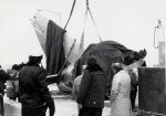 Photo Rescue and Police efforts Jan 13, 1982, Flight 90 crash into 14th Street Bridge and Potomac River, photo courtesy MPD photo archive